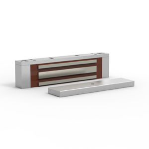 Centrale de verrouillage électromagnétique surveillé Detnov MEX-730